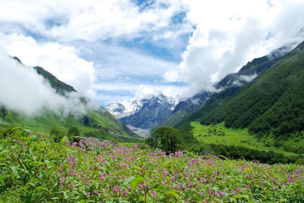 Valley of flowers Car Road Trips