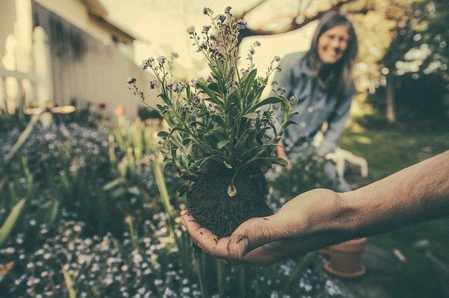 Gardening/Nursery Business Ideas