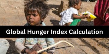 Global Hunger Index Calculation