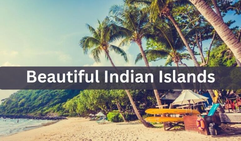Beyond the Maldives: Top 10 Beautiful Indian Islands You Should Visit in Lifetime